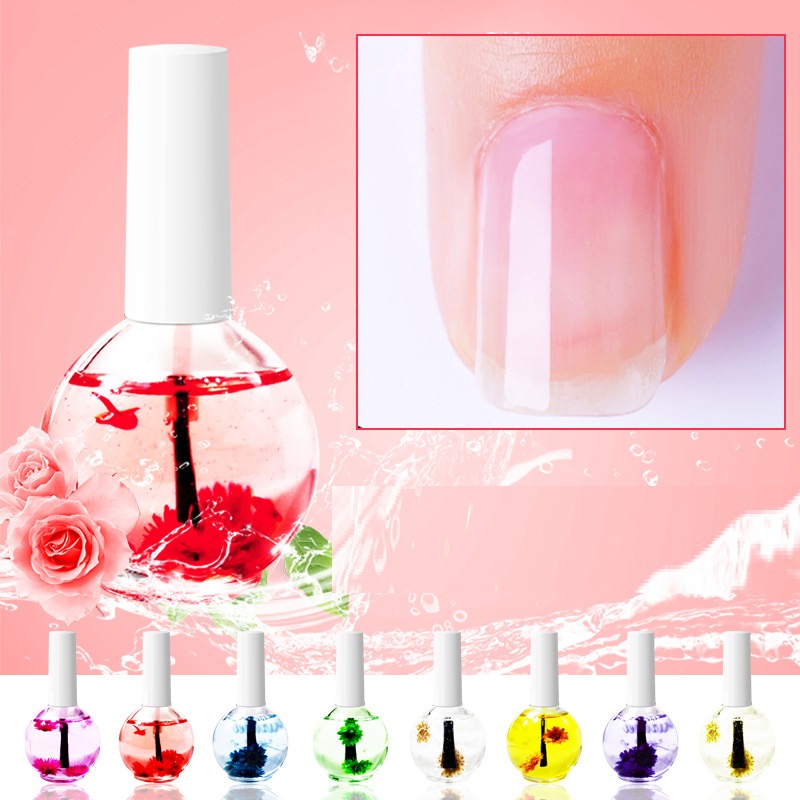 Nail Beauty Dried Flowers Nutrition Nail Treatment Oil Anti-agnail Nail Edge Moisturizing Nail Base Coat Natural Dried Flower Nutrient Solut