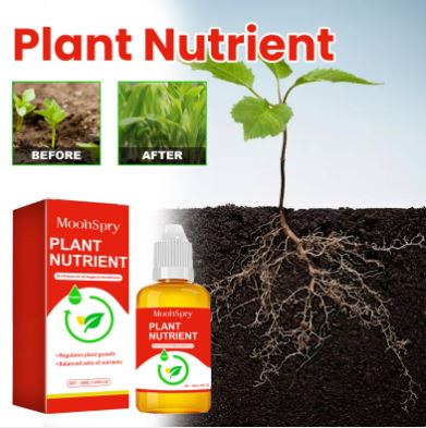 Rapid Rooting Solution for Seedlings