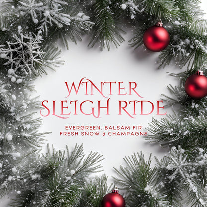Winter Sleigh Ride (14oz) - Notes: Evergreen, Balsam Fir, Champagne Accord, Oakmoss