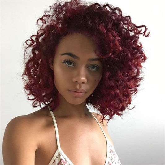 Multicolor Wigs for Women - Afro Curly Hairpieces