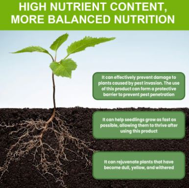 Rapid Rooting Solution for Seedlings