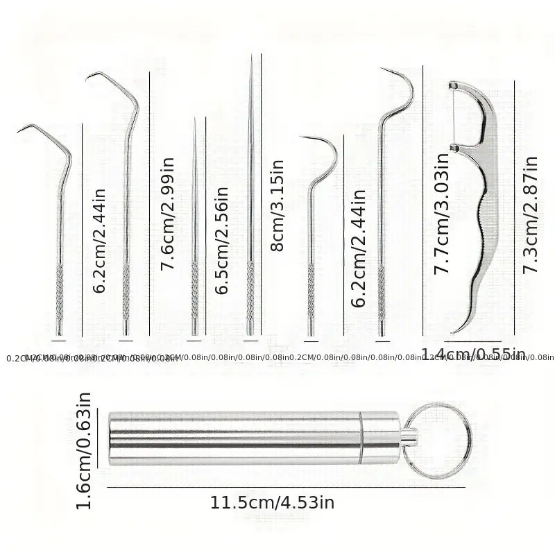 Stainless Steel Toothpick Set