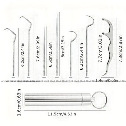 Stainless Steel Toothpick Set