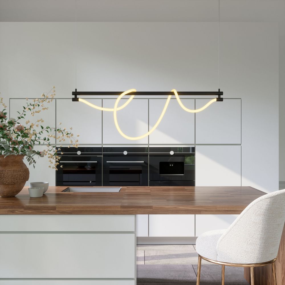 Adder Steel Black Ceiling Lamp