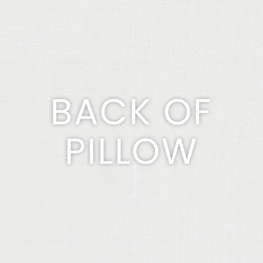 Alliana Brown Throw Pillow With Insert