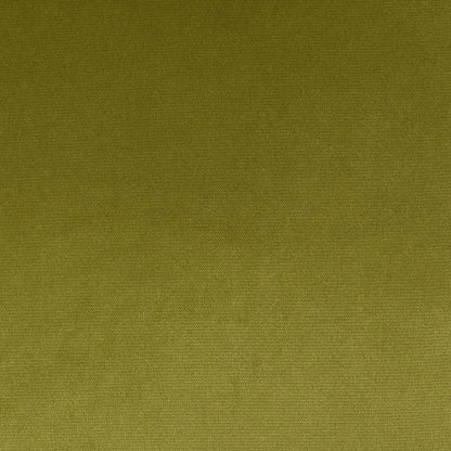 Belvedere Flange Aloe Green Throw Pillow Insert