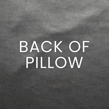Delhi Grey Throw Pillow With Insert