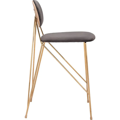 Georges Gray and Gold Counter Stool 2PC