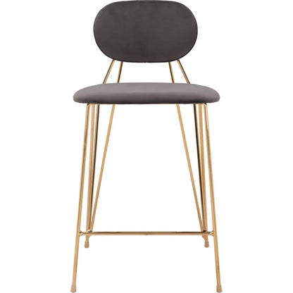Georges Gray and Gold Counter Stool 2PC
