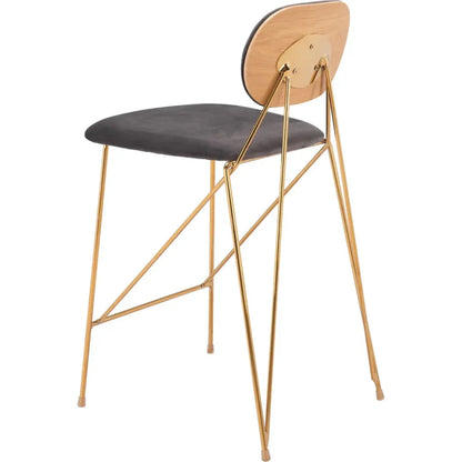 Georges Gray and Gold Counter Stool 2PC