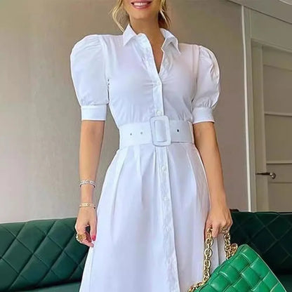 2025 European and American New Style Fashion Lapel Short Sleeved With Large Swing Whit Belt Long Dress