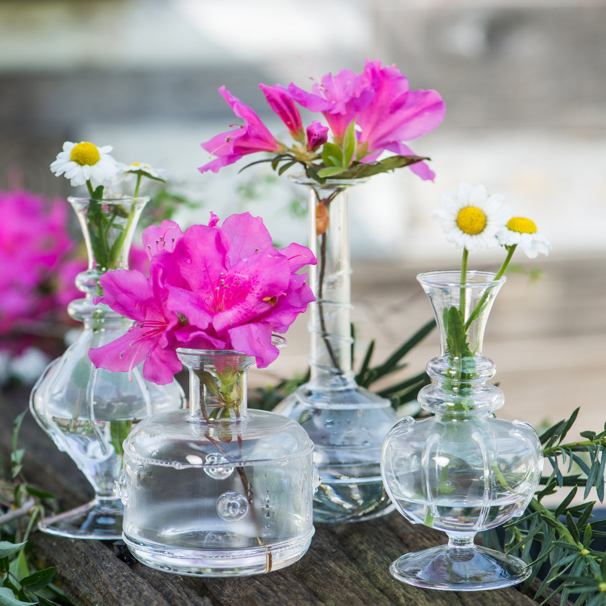Miss Daisy Clear Glass Bud Vases Set (8PC)