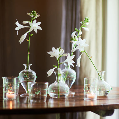 Miss Rose Clear Glass Bud Vase 2PC