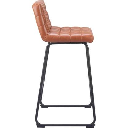 Pago Brown Leather Barstool (Set of 2)