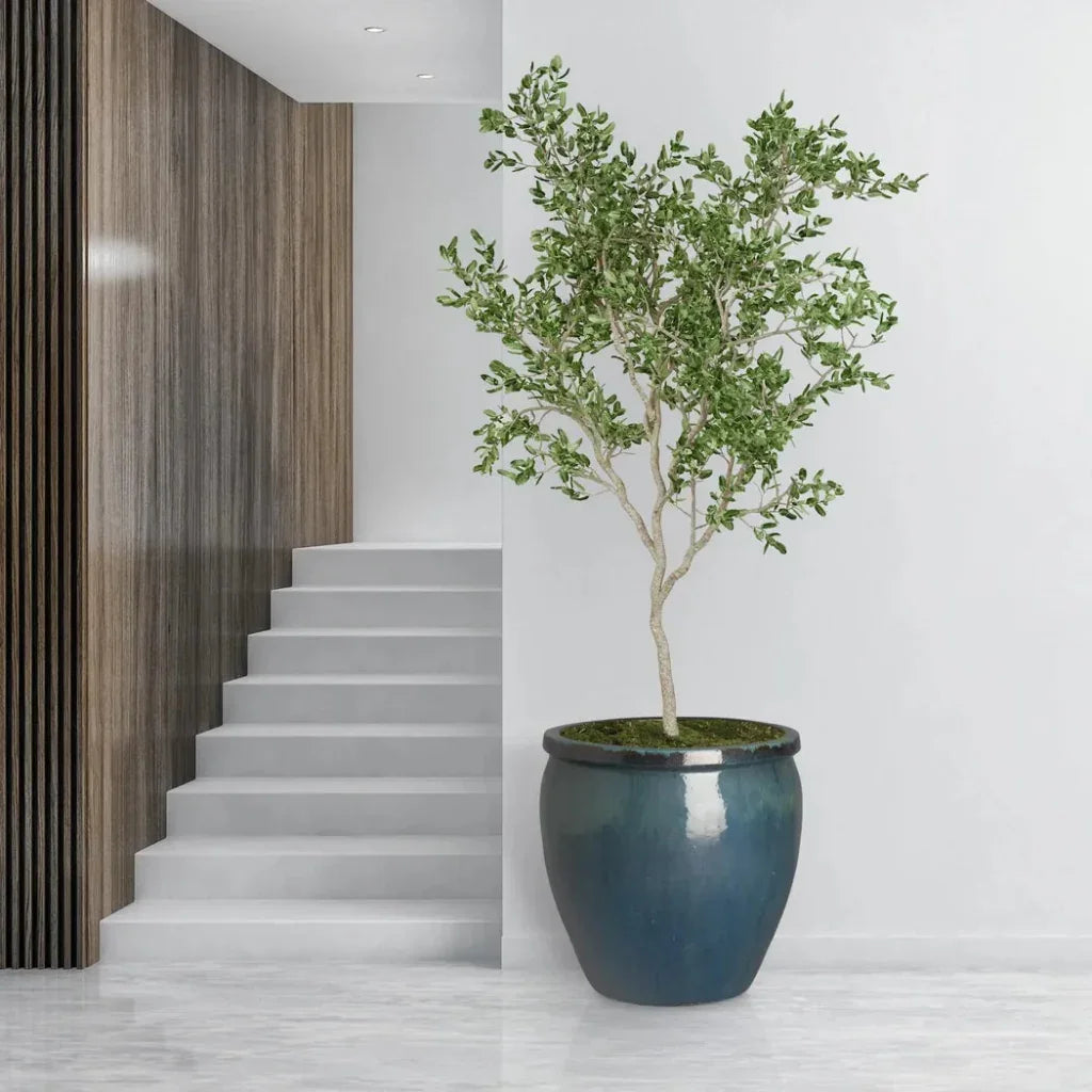 Round Crafted Ceramic Planter