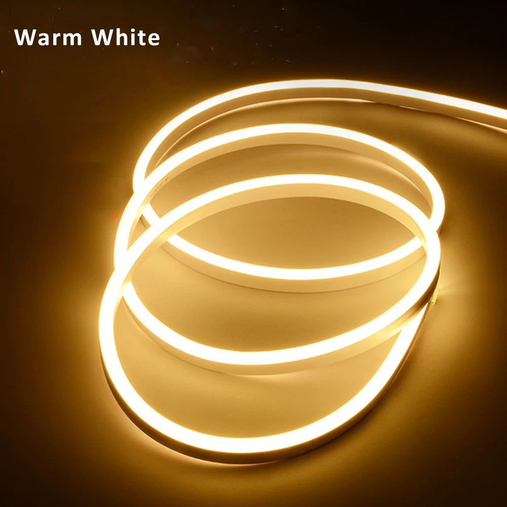 4X10mm LED Neon Flexible Strip Light 24V SMD2835 120LEDs IP67 Silicone Tube Lamp Waterproof 5M 10M 100M Flex Rope Sign Lighting