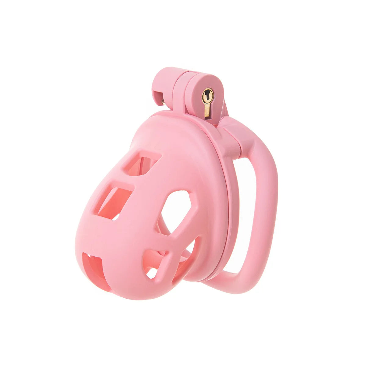 2026 New Cobra 3.0 Chastity Lock Cage SM Flirting Breathable Resin Male Virginity Device Fetish Male Penis Lock with 4 Rings