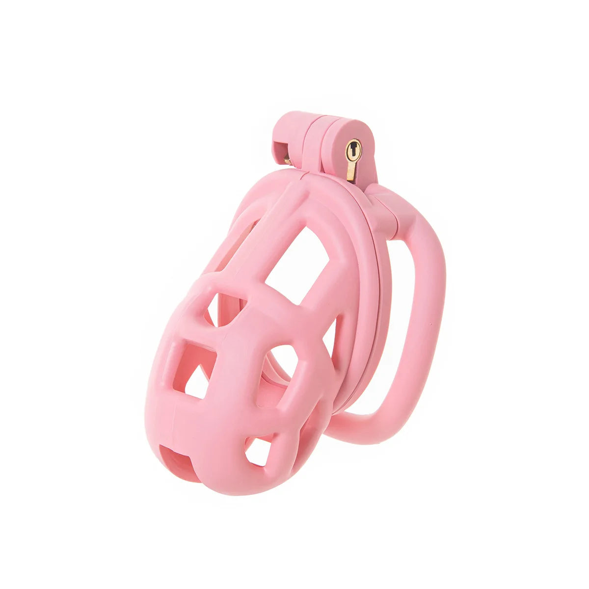 2026 New Cobra 3.0 Chastity Lock Cage SM Flirting Breathable Resin Male Virginity Device Fetish Male Penis Lock with 4 Rings