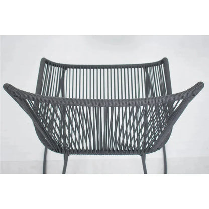 The Dane Dining Arm Chair 2PC Dark Gray Patio Dining