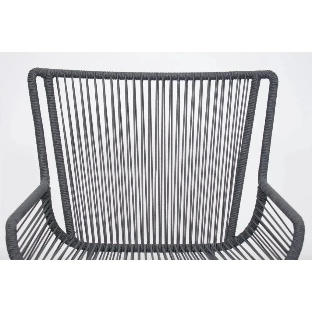 The Dane Dining Arm Chair 2PC Dark Gray Patio Dining
