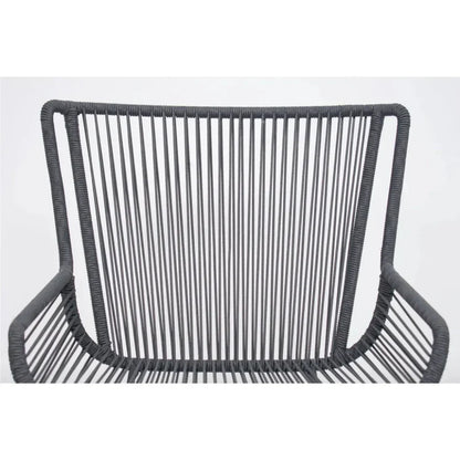 The Dane Dining Arm Chair 2PC Dark Gray Patio Dining