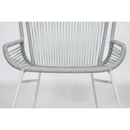 The Dane Dining Arm Chair 2PC Grey Patio Dining Chairs