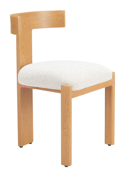 Tiana Olefin Fabric Outdoor Dining Chair