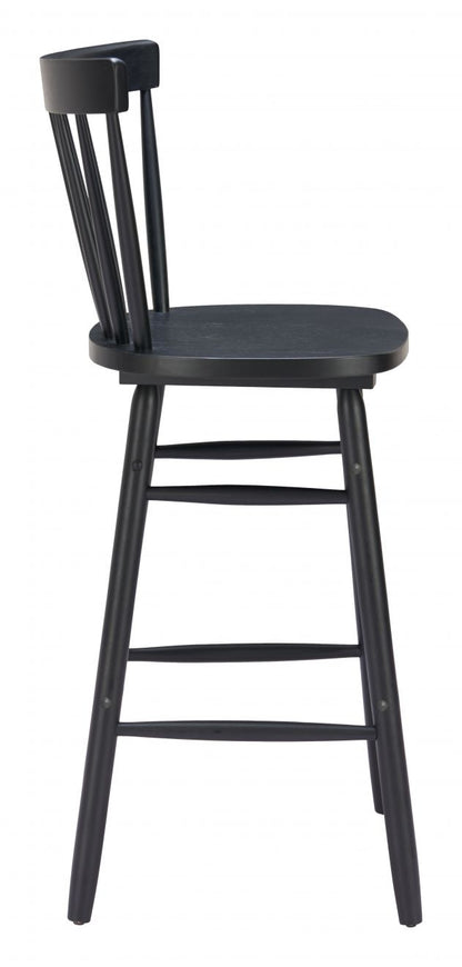 Tyce Painted Wood Barstool 2PC