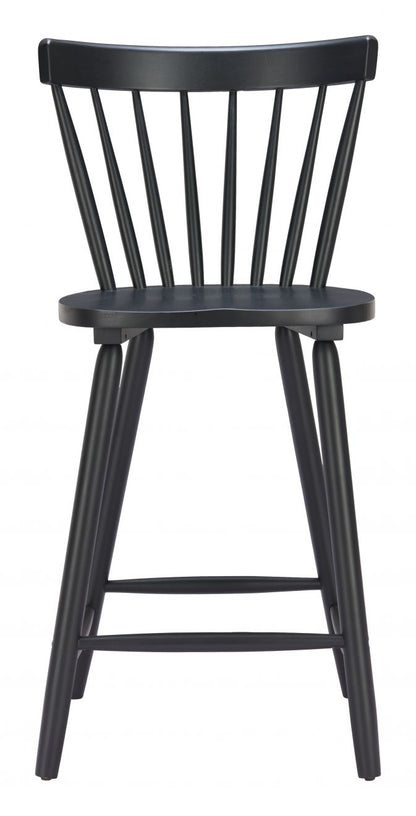 Tyce Painted Wooden Counter Stool 2PC