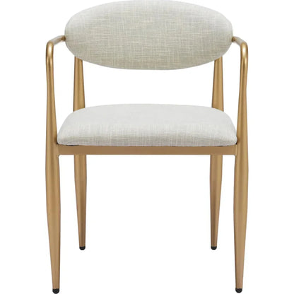 Zens Dining Arm Chair (Set of 2)