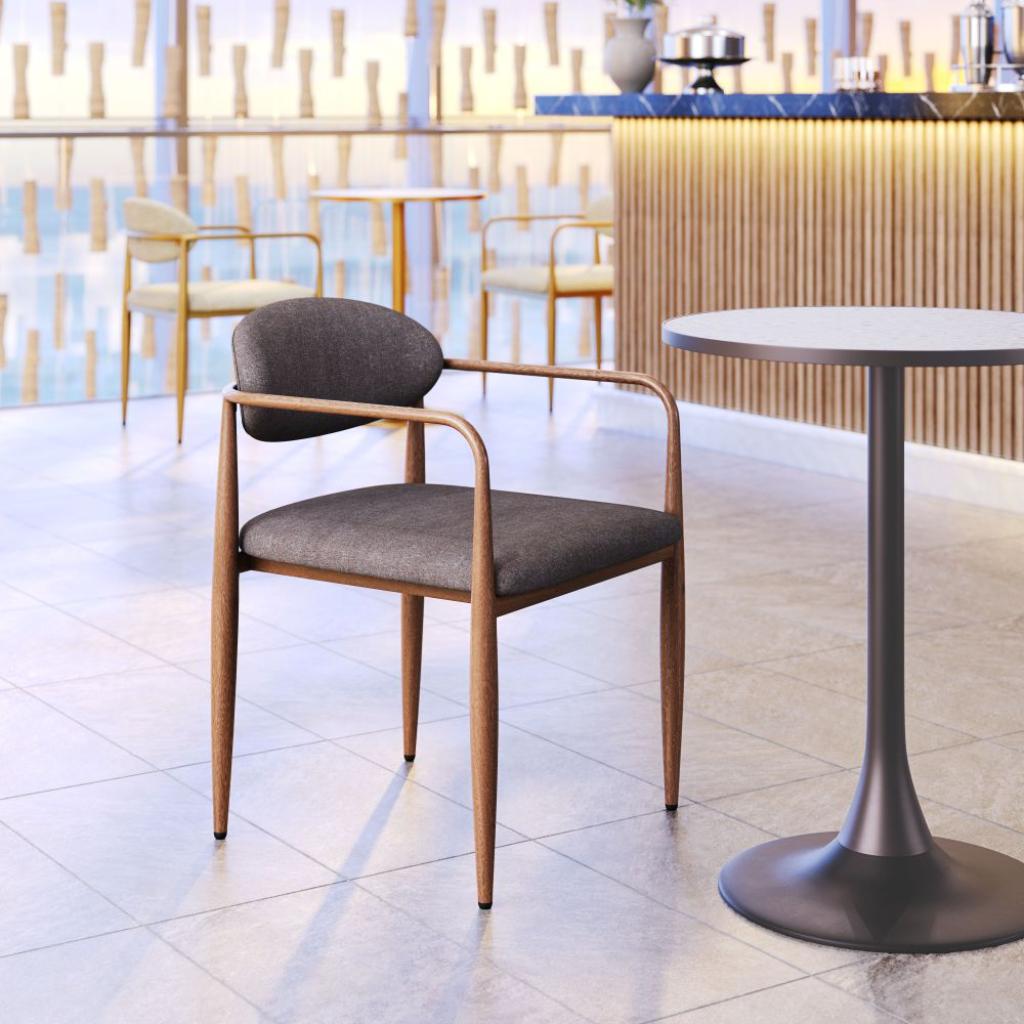 Zens Dining Arm Chair (Set of 2)