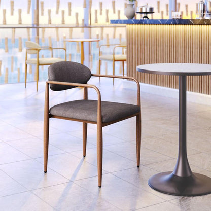 Zens Dining Arm Chair (Set of 2)