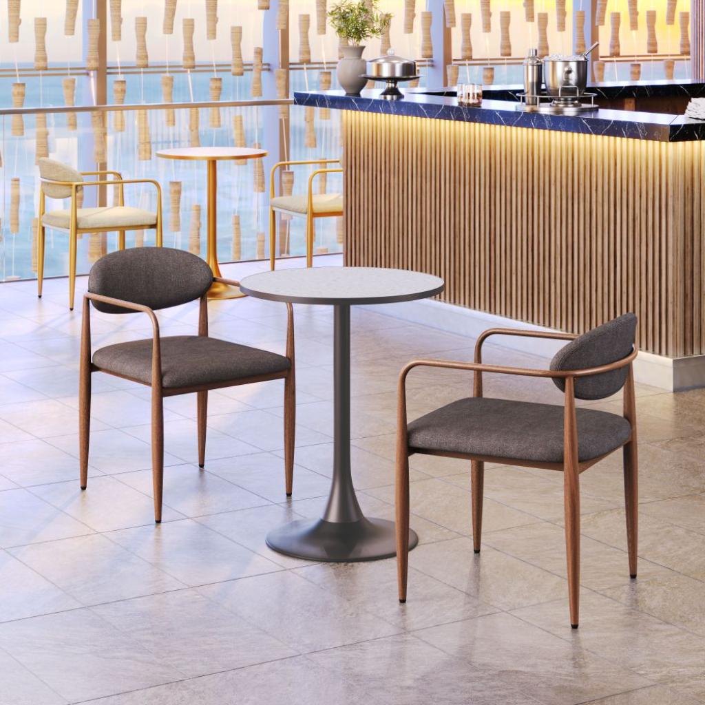 Zens Dining Arm Chair (Set of 2)