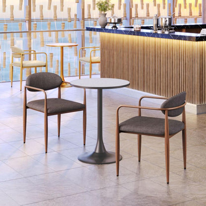 Zens Dining Arm Chair (Set of 2)