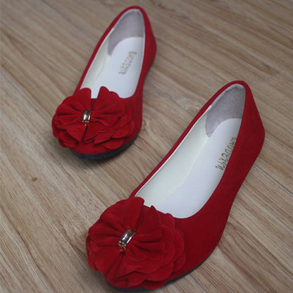 Fashionable Women's Pointed Toe Comfort Flats (Multi-color)