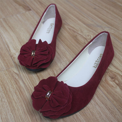 Fashionable Women's Pointed Toe Comfort Flats (Multi-color)