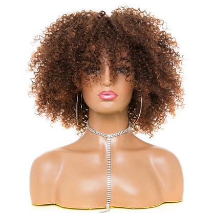 Afro Kinky Curly Hair Wigs (Multiple Styles Available)