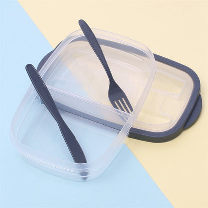 Rectangular Plastic Bento Box for Fruit Salad Storage