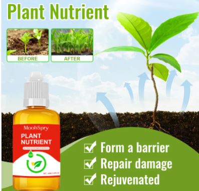 Rapid Rooting Solution for Seedlings