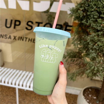 Kawaii Plastic Water Bottle with Lid and Straw